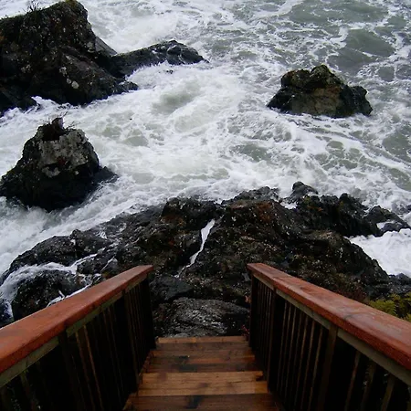 Reef Point Oceanfront Bed And Breakfast-2